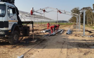 NEW HOUSING FOR HERD OF MEDITERRANEAN WATER BUFFALO