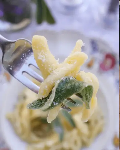 Cicatelli-on-fork