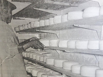 Wellington turning Pecorino in the maturation room in the early 80’s. Wellington turning Pecorino in the maturation room in the early 80’s
